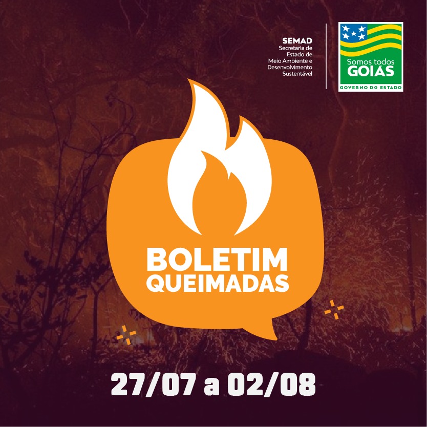 Boletim
