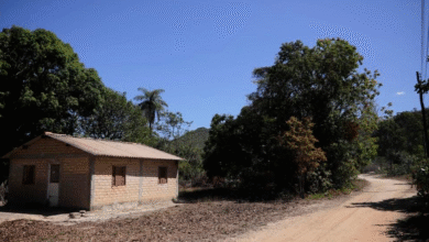 MPF aciona Justiça para suspender atividades agropecuárias ilegais em área do Quilombo Kalunga, em Goiás