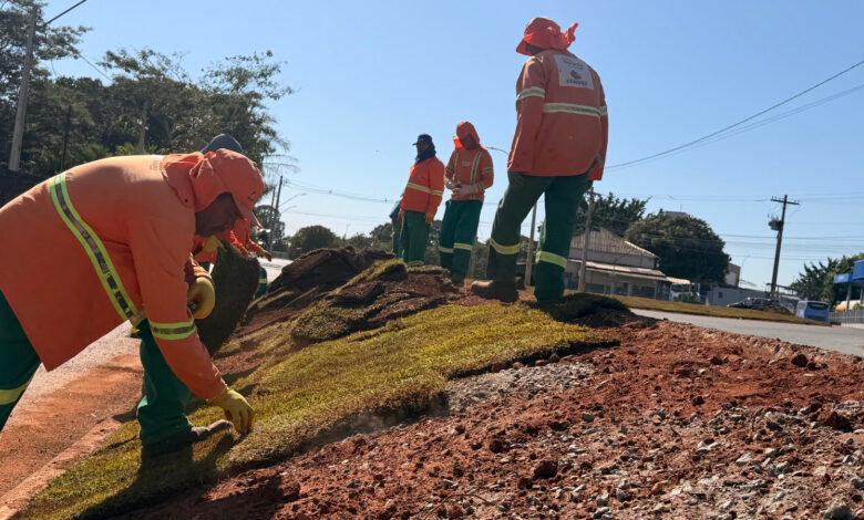 Imagem ilustrativa de agentes da Companhia de Urbanização de Goiânia (Comurg) colocando grama em um canteiro.