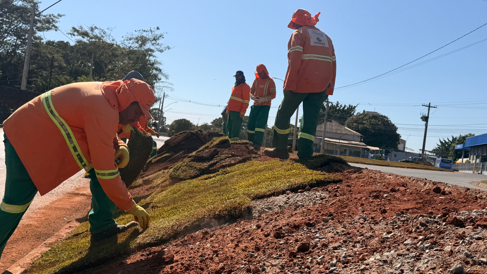 Imagem ilustrativa de agentes da Companhia de Urbanização de Goiânia (Comurg) colocando grama em um canteiro.