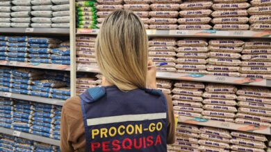 Imagem ilustratriva de uma agente do PROCON Goiás em um mercado realizando a pesquisa de preços dos itens da cesta básica