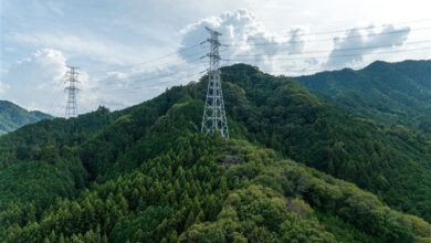 Imagem iliustrativa de linhas de transmissão de energia. Essas linhas de transmissão dessa imagem são da EDP.